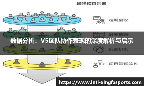 数据分析：V5团队协作表现的深度解析与启示